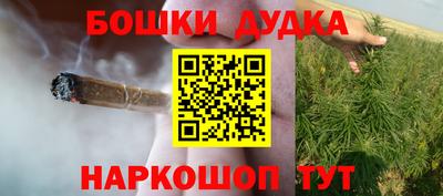 PSILOCYBIN Камышлов