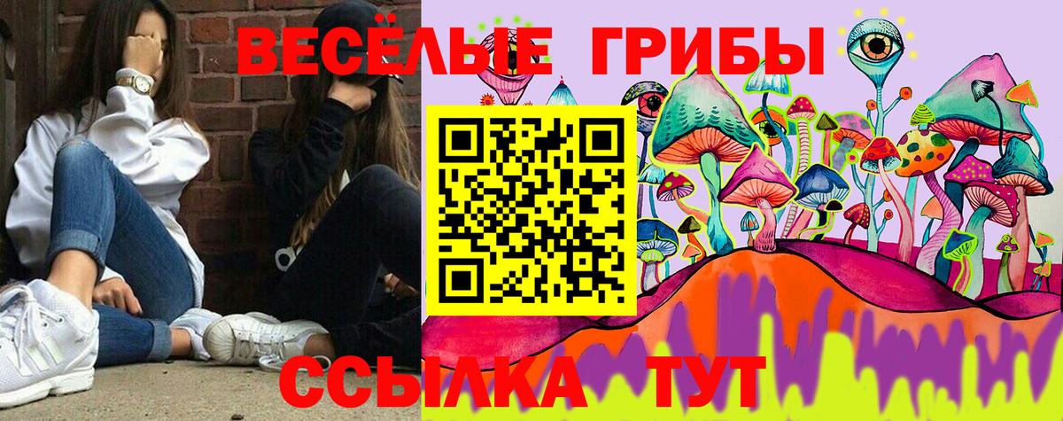 Псилоцибиновые грибы MAGIC MUSHROOMS Краснодар