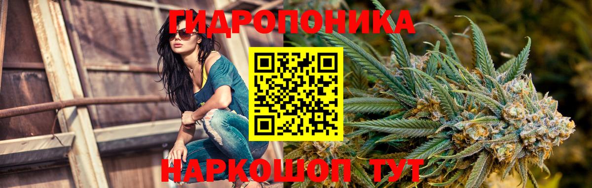 Канабис Ganja Краснодар